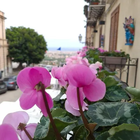Arianna's Rent Monreale